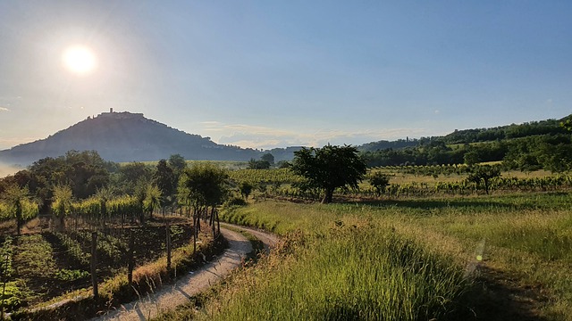 motovun istria