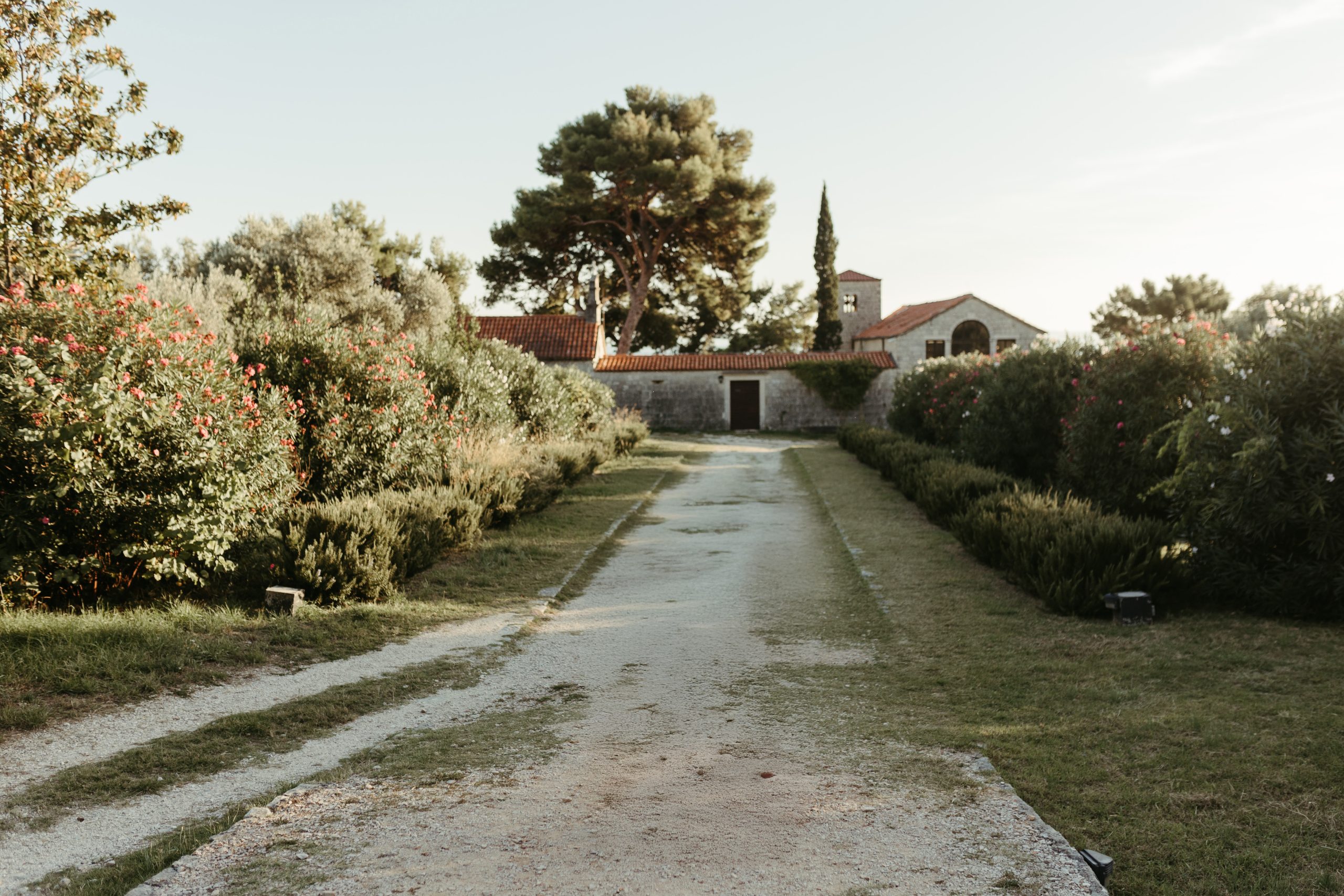 mestrovic crikvine wedding