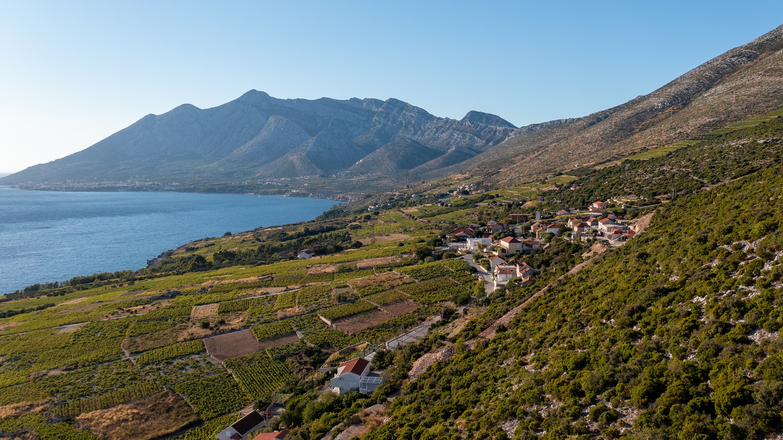 croatian wine region