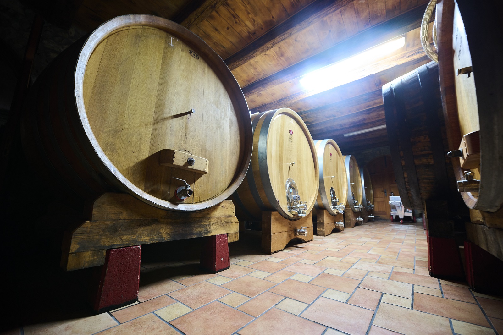 wine cellar istria