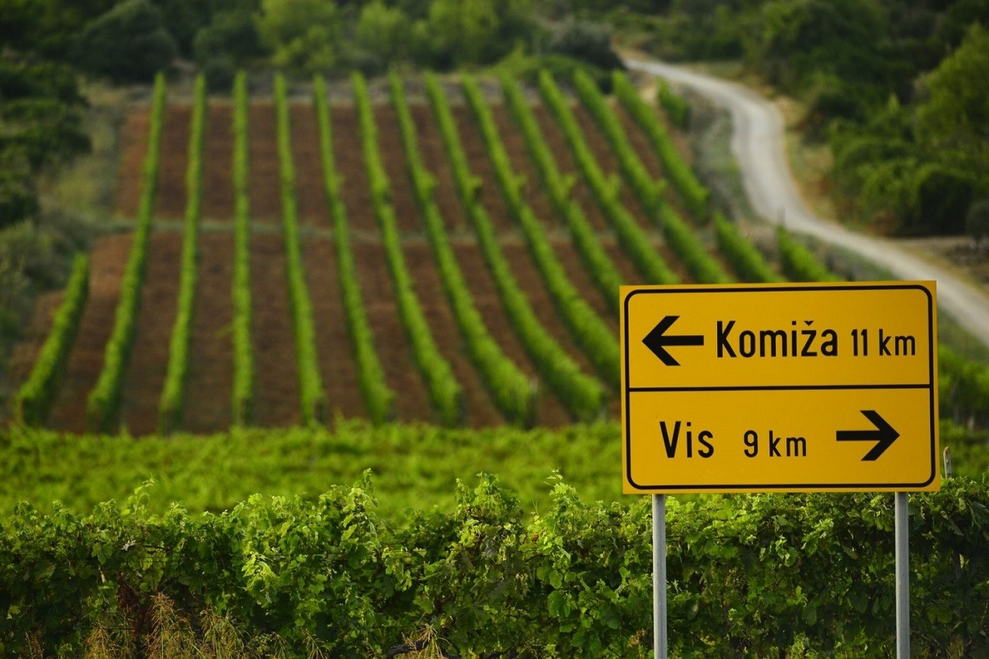 croatian wine region vis